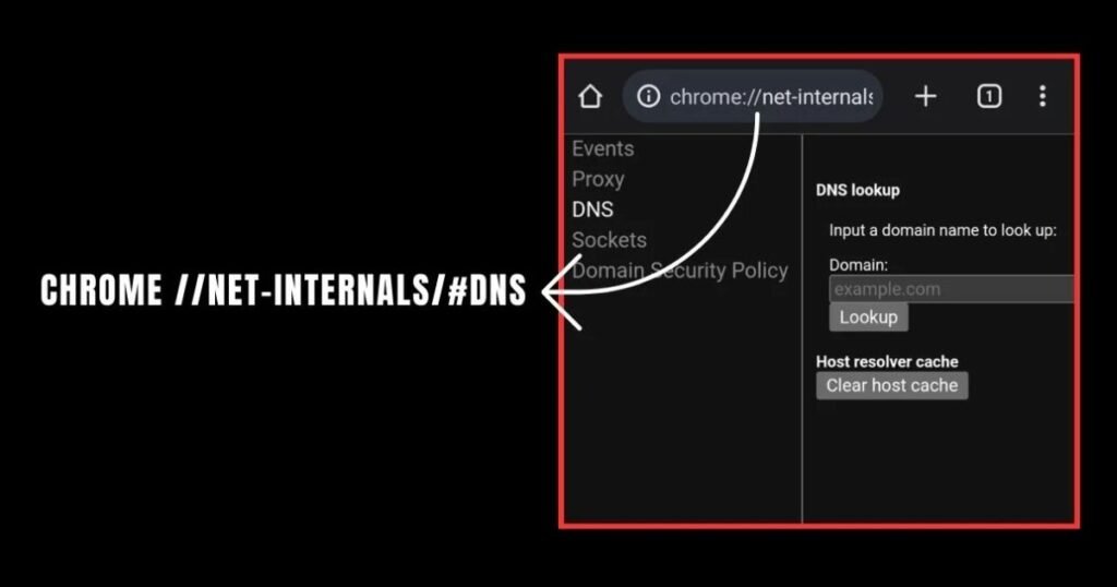 chrome //net-internals/#dns
